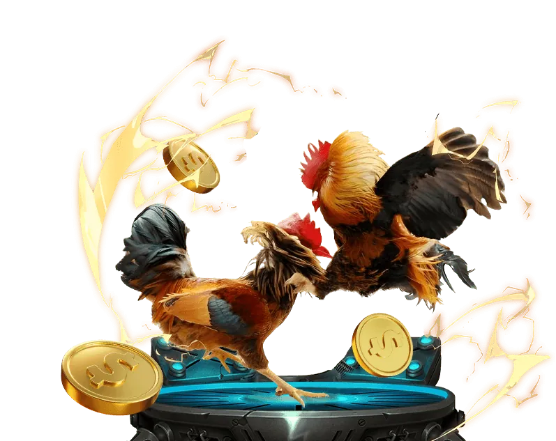 Biểu đồ thể hiện các loại hình cá cược khác nhau trên nền tảng u8888a.